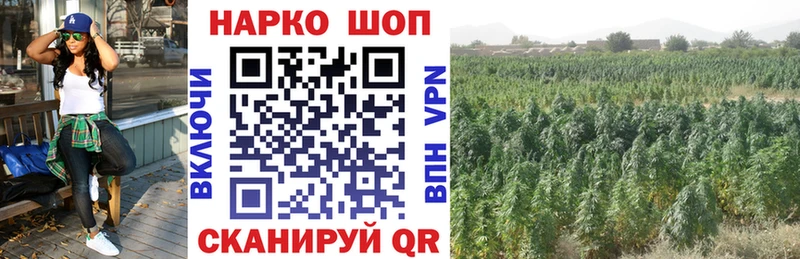 Где купить наркотики Курчатов АМФЕТАМИН  Меф мяу мяу  ГАШИШ  Альфа ПВП  Канабис  COCAIN 