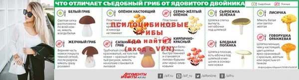 PSILOCYBIN Белокуриха