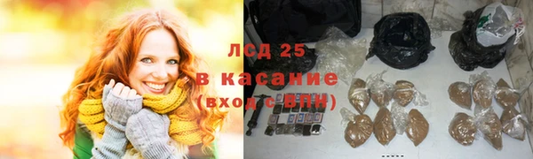 PSILOCYBIN Белокуриха
