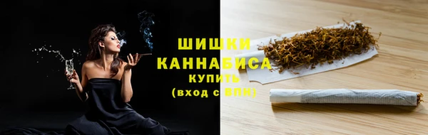 PSILOCYBIN Белокуриха