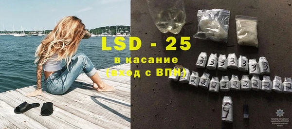 PSILOCYBIN Белокуриха