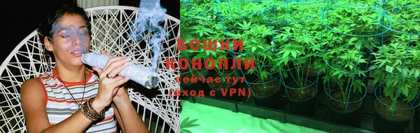 PSILOCYBIN Белокуриха