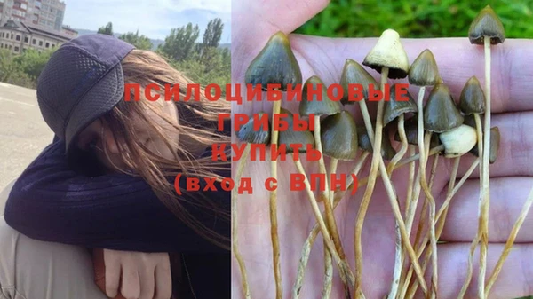 apvp Белоозёрский