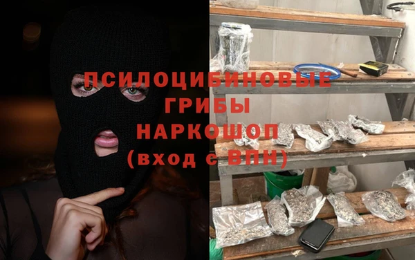 PSILOCYBIN Белокуриха