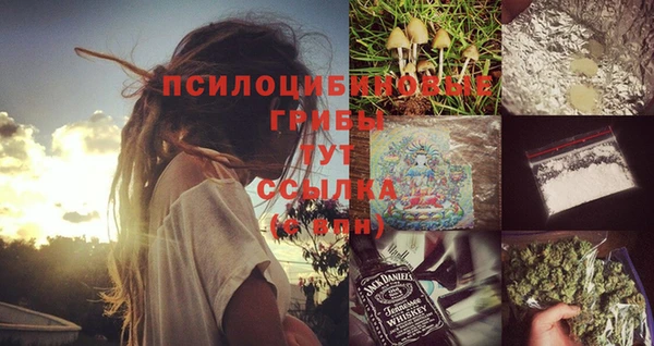 бошки Беломорск