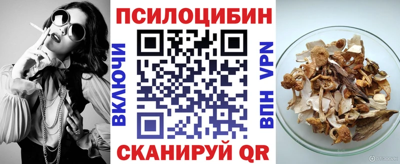 МЕГА онион  Курчатов  Галлюциногенные грибы Psilocybe 